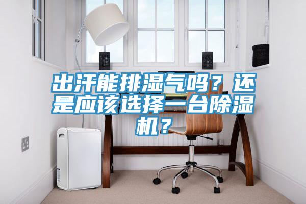 出汗能排濕氣嗎？還是應(yīng)該選擇一臺(tái)除濕機(jī)？