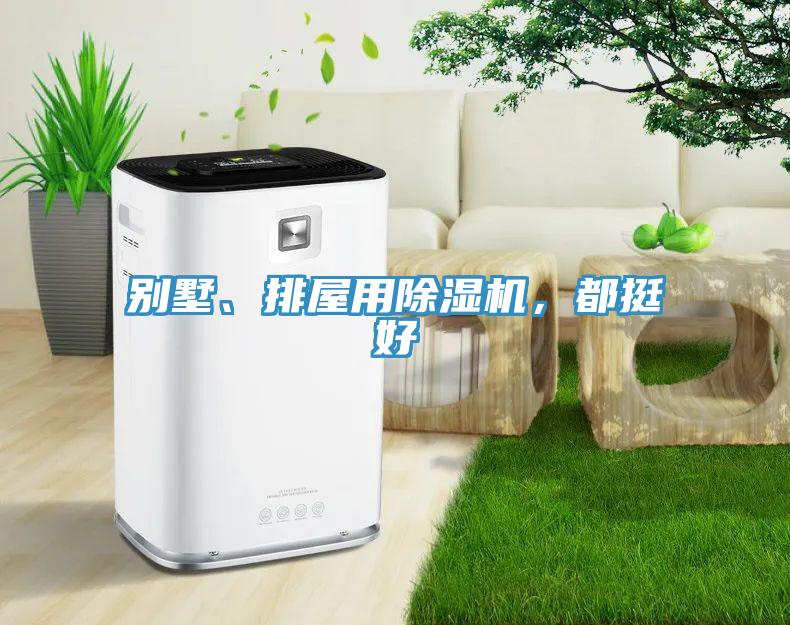 別墅、排屋用除濕機(jī)，都挺好