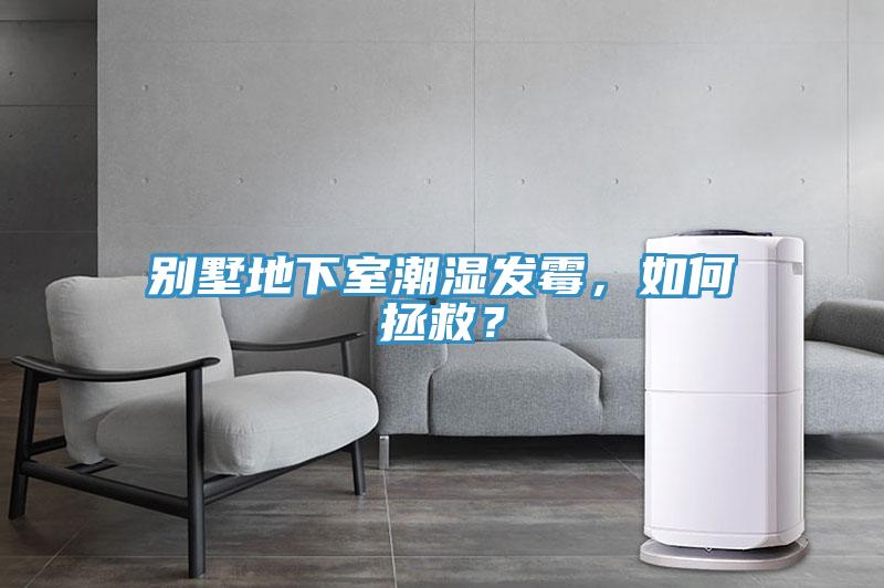 別墅地下室潮濕發(fā)霉，如何拯救？