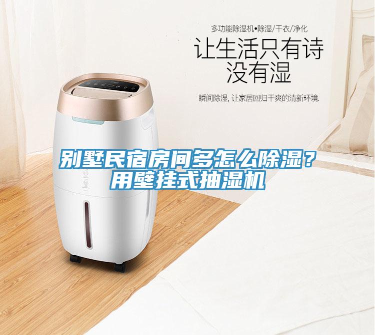 別墅民宿房間多怎么除濕？用壁掛式抽濕機(jī)